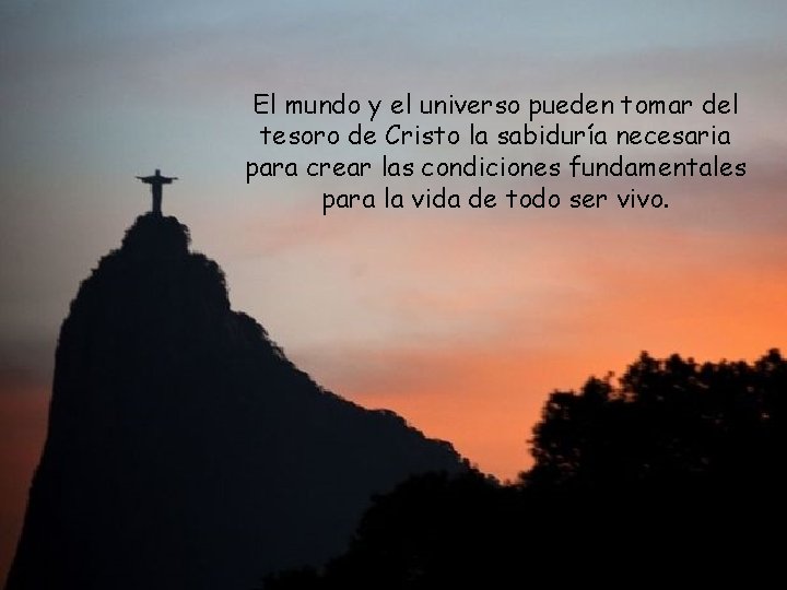 El mundo y el universo pueden tomar del tesoro de Cristo la sabiduría necesaria