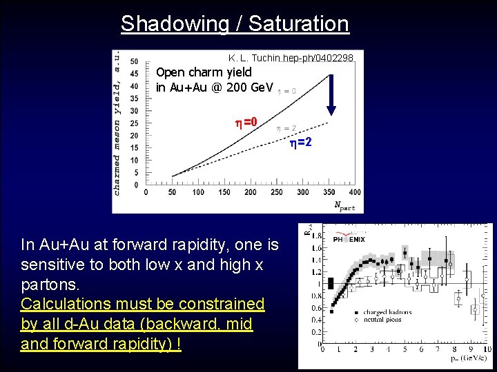 Shadowing / Saturation K. L. Tuchin hep-ph/0402298 Open charm yield in Au+Au @ 200