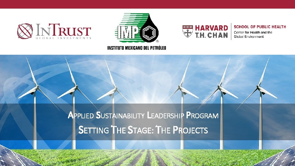 APPLIED SUSTAINABILITY LEADERSHIP PROGRAM SETTING THE STAGE: THE PROJECTS 