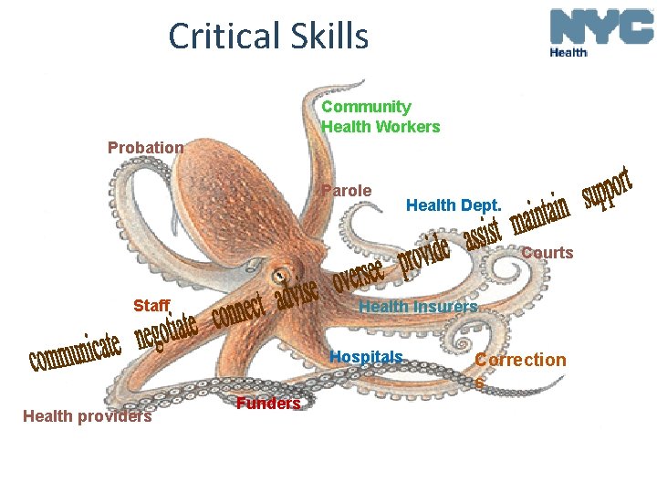 Critical Skills Community Health Workers Probation Parole Health Dept. Courts Staff Health Insurers Hospitals