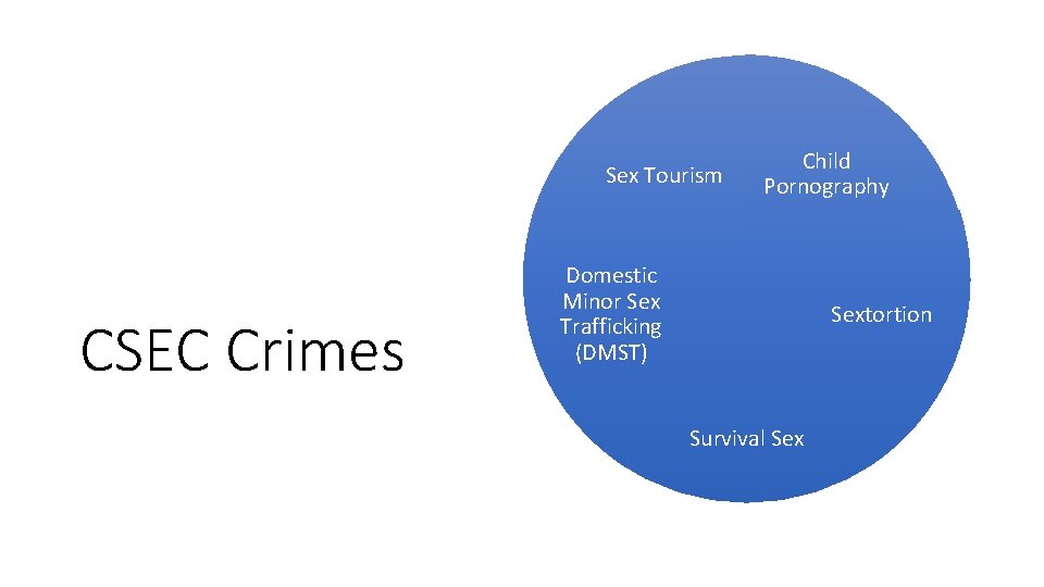 Sex Tourism CSEC Crimes Child Pornography Domestic Minor Sex Trafficking (DMST) Sextortion Survival Sex