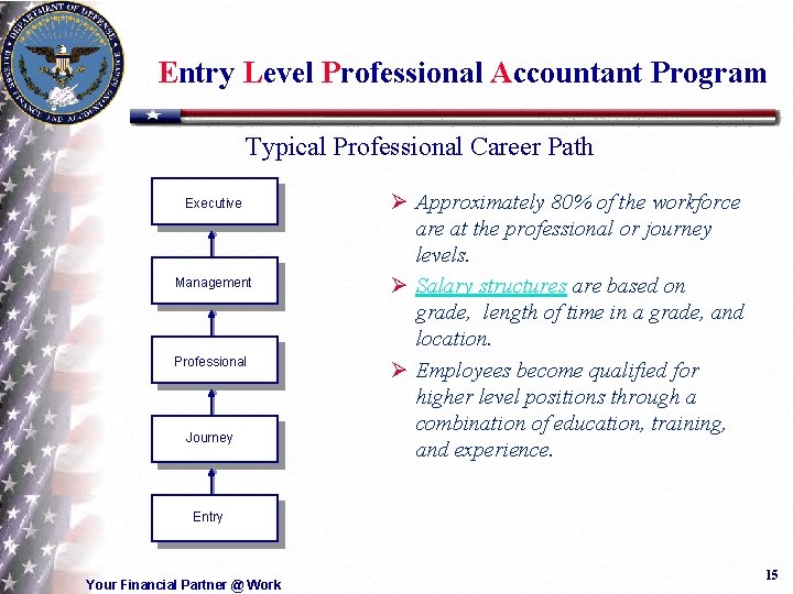 Entry Level Professional Accountant Program Typical Professional Career Path Executive Management Professional Journey Ø