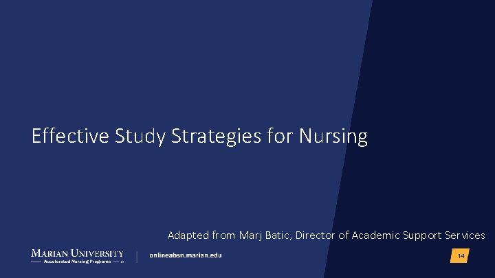 Effective Study Strategies for Nursing Adapted from Marj Batic, Director of Academic Support Services