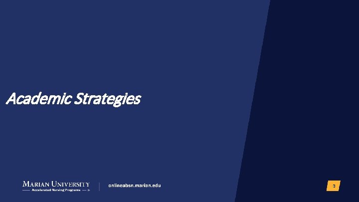 Academic Strategies 3 