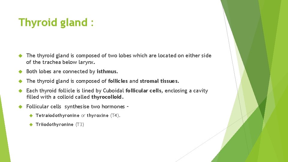 Thyroid gland : The thyroid gland is composed of two lobes which are located