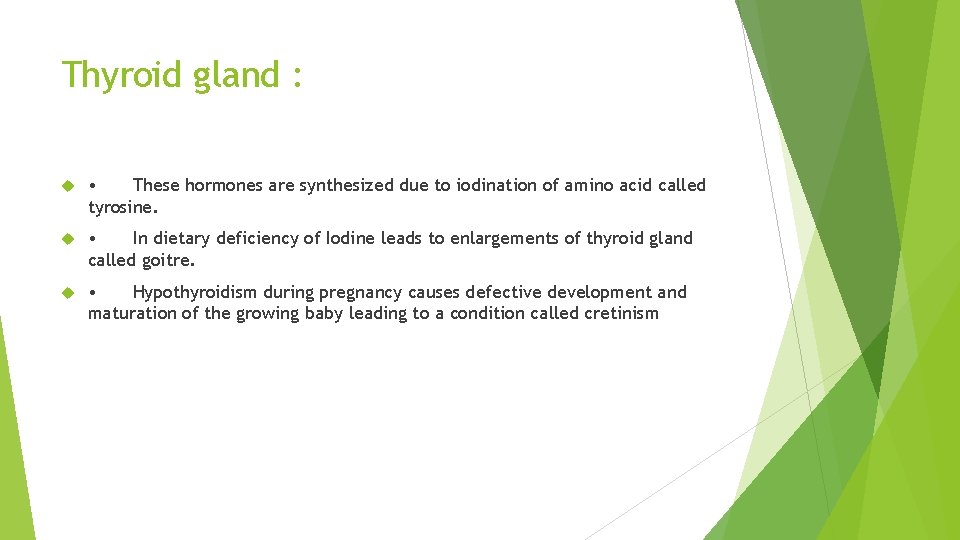 Thyroid gland : • These hormones are synthesized due to iodination of amino acid