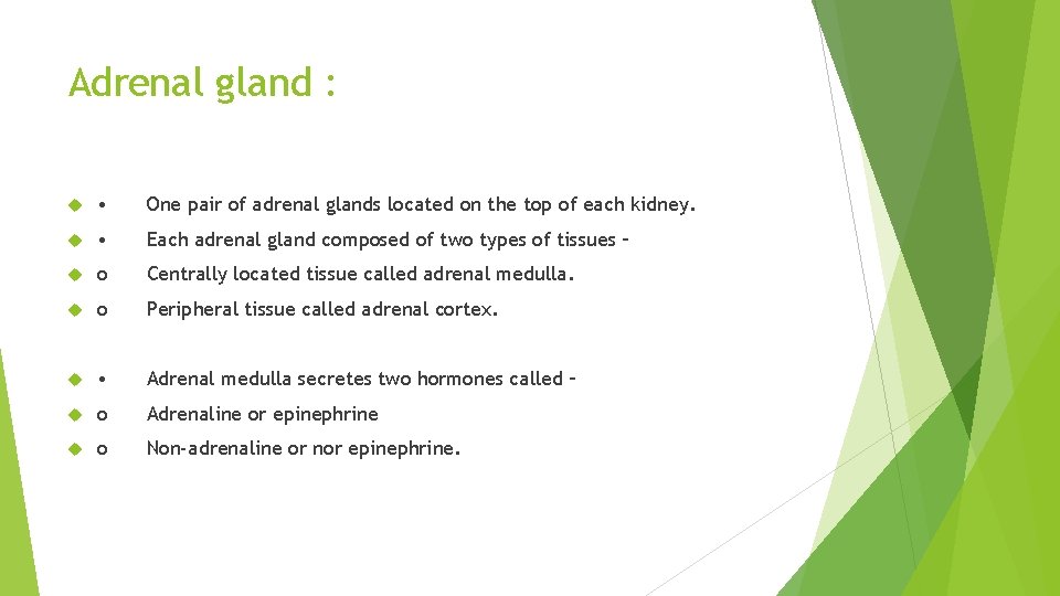 Adrenal gland : • One pair of adrenal glands located on the top of
