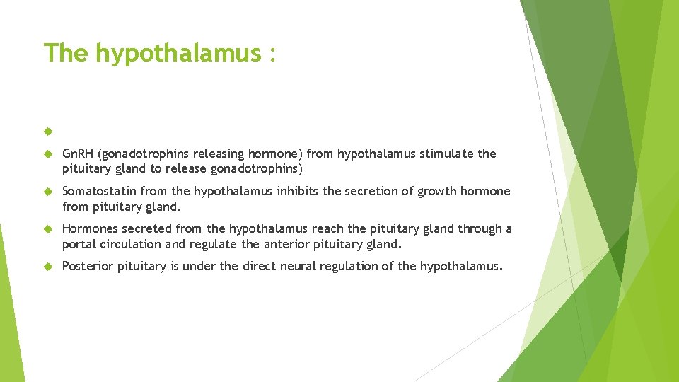 The hypothalamus : Gn. RH (gonadotrophins releasing hormone) from hypothalamus stimulate the pituitary gland