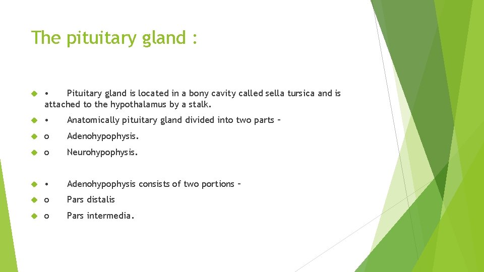 The pituitary gland : • Pituitary gland is located in a bony cavity called