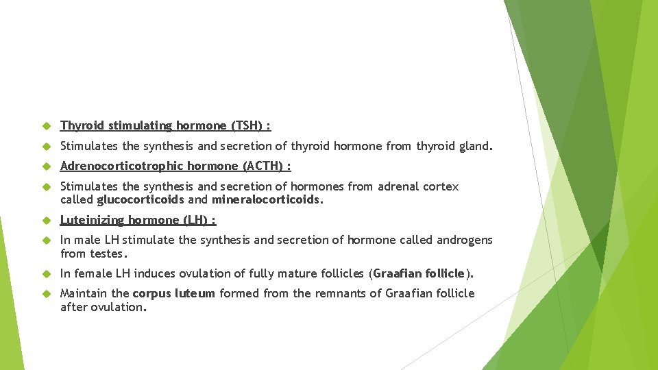  Thyroid stimulating hormone (TSH) : Stimulates the synthesis and secretion of thyroid hormone
