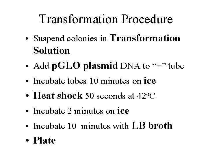 Transformation Procedure • Suspend colonies in Transformation • • • Solution Add p. GLO