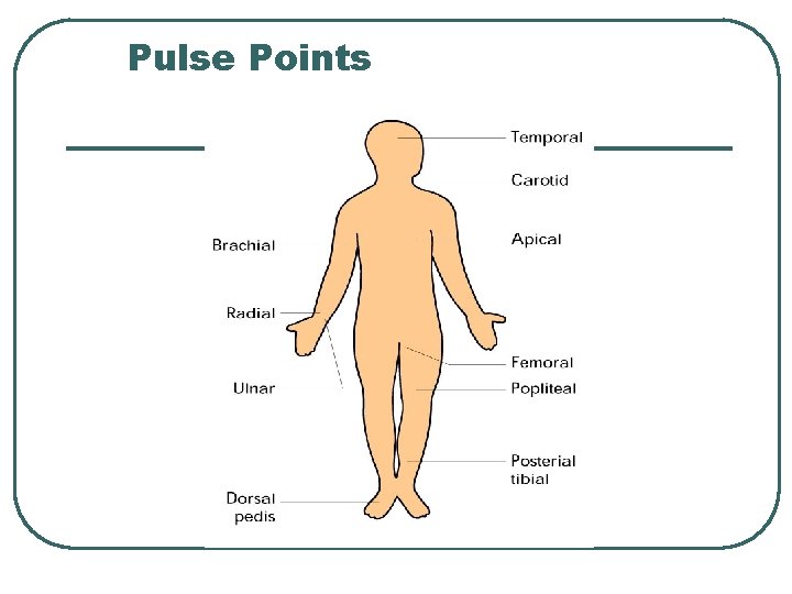 Pulse Points 