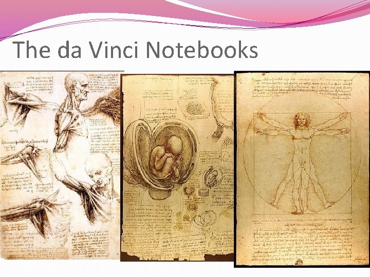 The da Vinci Notebooks 