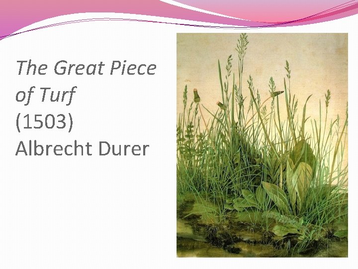 The Great Piece of Turf (1503) Albrecht Durer 