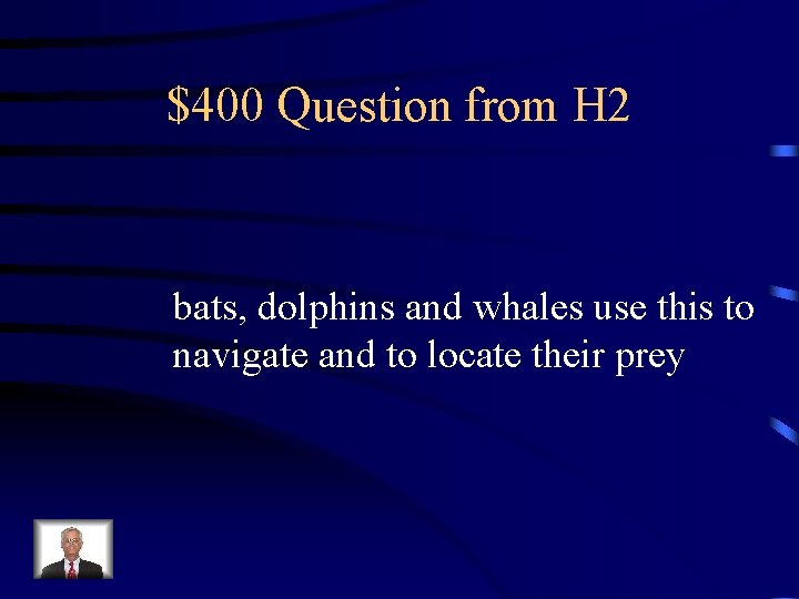 $400 Question from H 2 bats, dolphins and whales use this to navigate and
