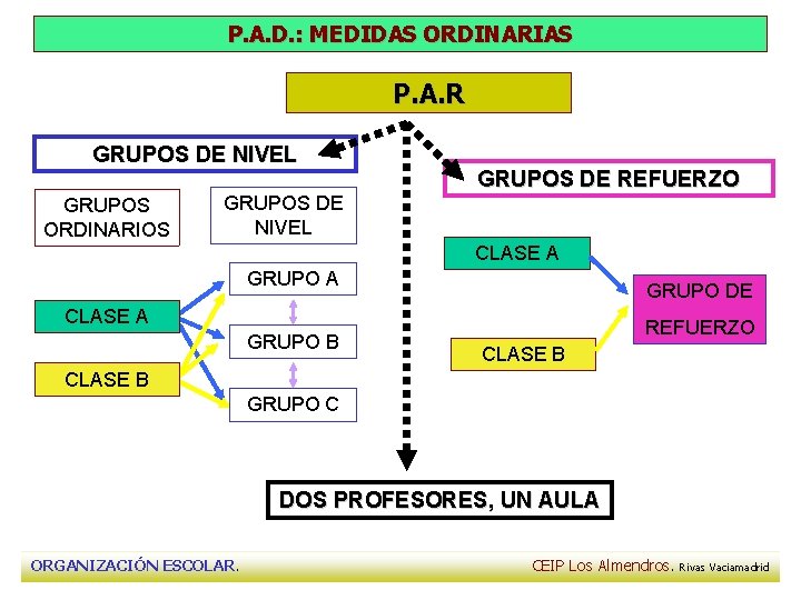 P. A. D. : MEDIDAS ORDINARIAS P. A. R GRUPOS DE NIVEL GRUPOS ORDINARIOS