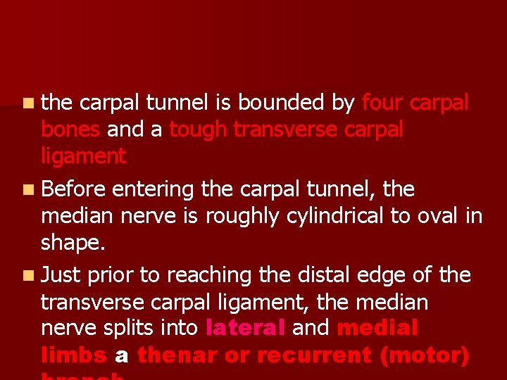 n the carpal tunnel is bounded by four carpal bones and a tough transverse