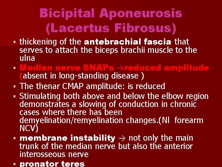 Bicipital Aponeurosis (Lacertus Fibrosus) thickening of the antebrachial fascia that serves to attach the