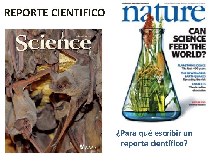 REPORTE CIENTIFICO ¿Para qué escribir un reporte científico? 