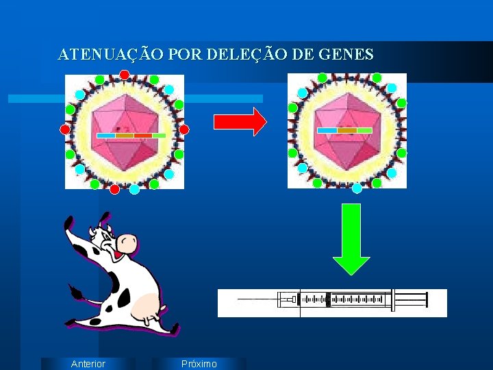 ATENUAÇÃO POR DELEÇÃO DE GENES Anterior Próximo 