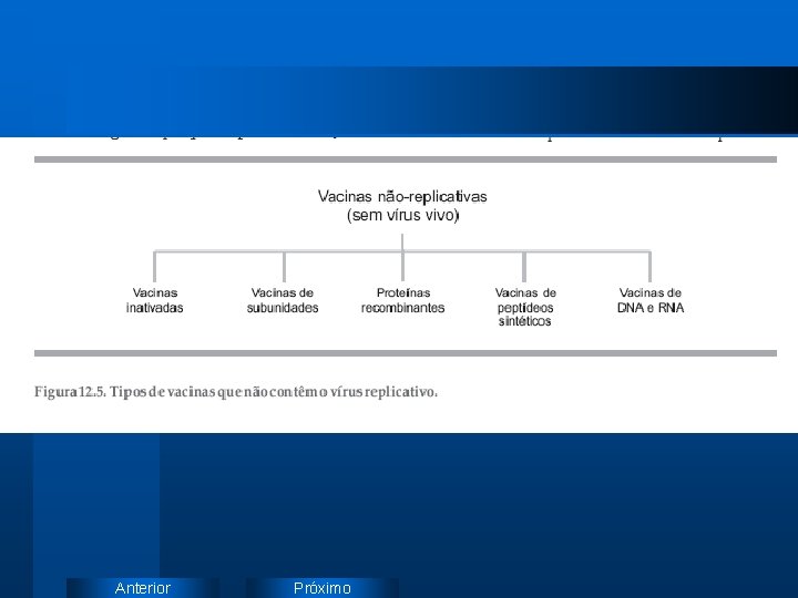 Anterior Próximo 