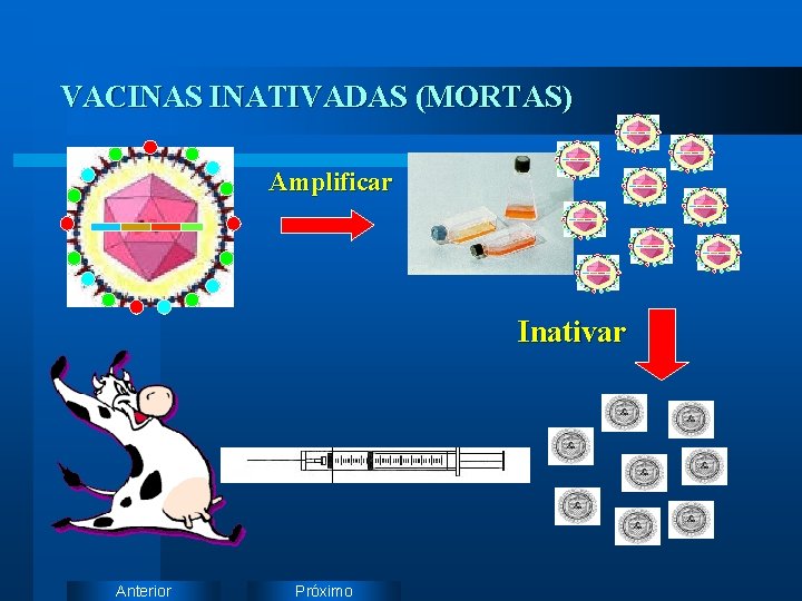 VACINAS INATIVADAS (MORTAS) Amplificar Inativar Anterior Próximo 