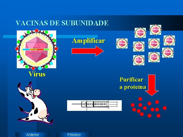 VACINAS DE SUBUNIDADE A Amplificar Vírus Anterior Purificar a proteína Próximo 