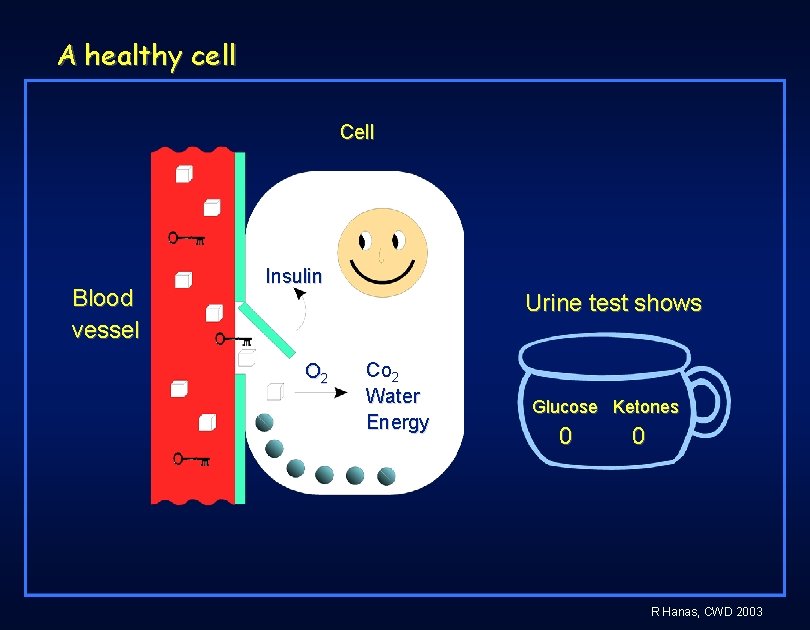 A healthy cell Cell Blood vessel Insulin Urine test shows O 2 Co 2