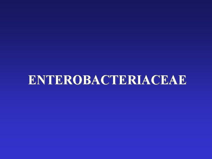 ENTEROBACTERIACEAE 