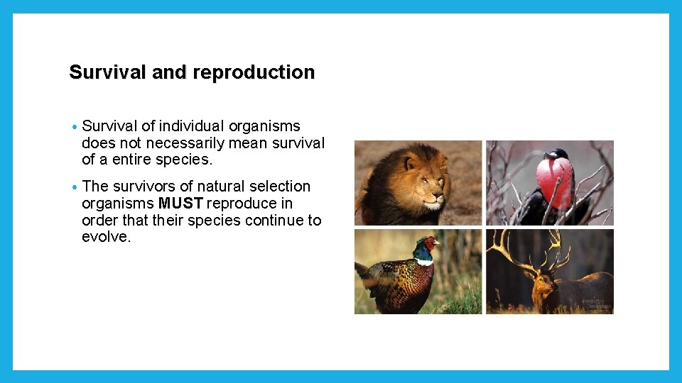 Survival and reproduction • Survival of individual organisms does not necessarily mean survival of Survival and reproduction • Survival of individual organisms does not necessarily mean survival of