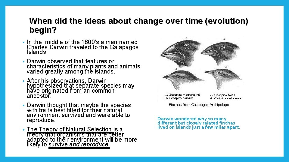 When did the ideas about change over time (evolution) begin? • In the middle When did the ideas about change over time (evolution) begin? • In the middle