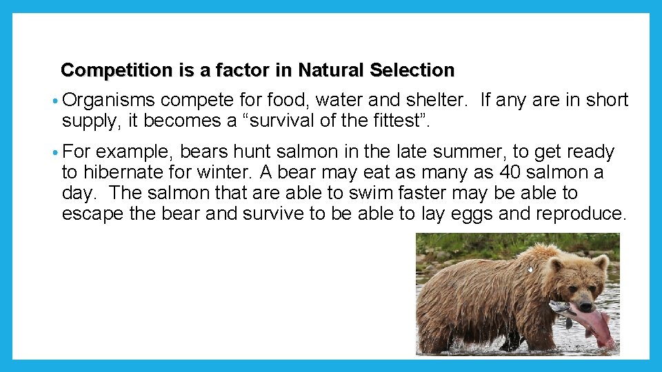 Competition is a factor in Natural Selection • Organisms compete for food, water and Competition is a factor in Natural Selection • Organisms compete for food, water and
