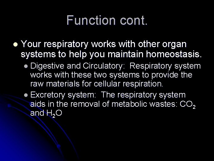 Function cont. l Your respiratory works with other organ systems to help you maintain