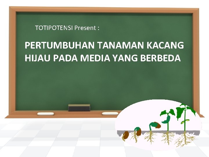 TOTIPOTENSI Present : PERTUMBUHAN TANAMAN KACANG HIJAU PADA MEDIA YANG BERBEDA 