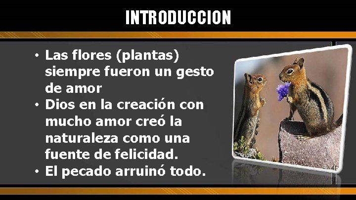 INTRODUCCION • Las flores (plantas) siempre fueron un gesto de amor • Dios en