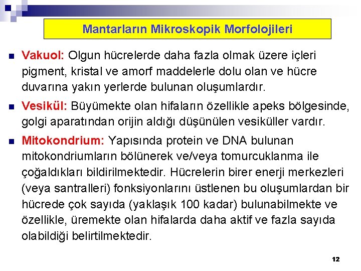 Mantarların Mikroskopik Morfolojileri n Vakuol: Olgun hücrelerde daha fazla olmak üzere içleri pigment, kristal