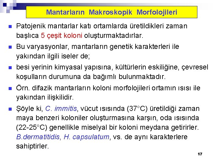 Mantarların Makroskopik Morfolojileri n Patojenik mantarlar katı ortamlarda üretildikleri zaman başlıca 5 çeşit koloni