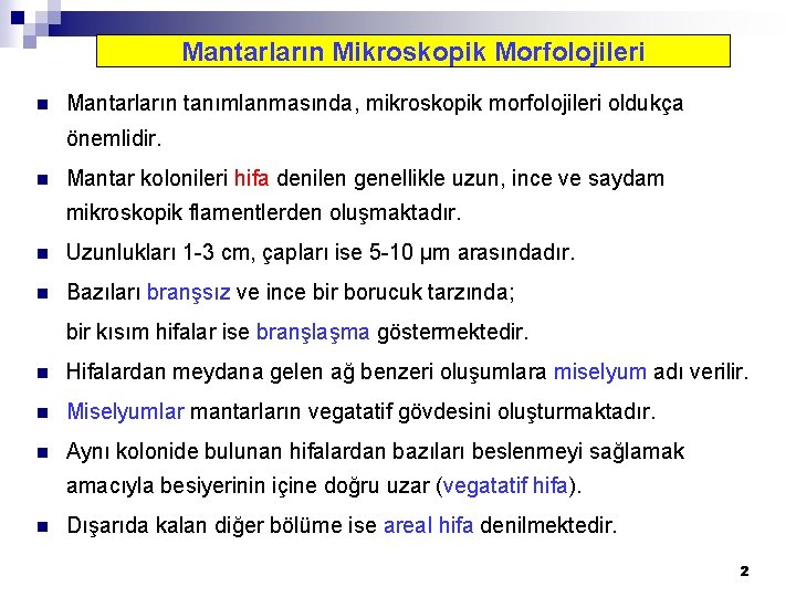 Mantarların Mikroskopik Morfolojileri n Mantarların tanımlanmasında, mikroskopik morfolojileri oldukça önemlidir. n Mantar kolonileri hifa