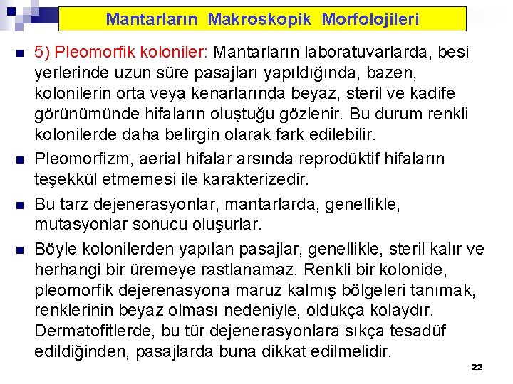 Mantarların Makroskopik Morfolojileri n n 5) Pleomorfik koloniler: Mantarların laboratuvarlarda, besi yerlerinde uzun süre