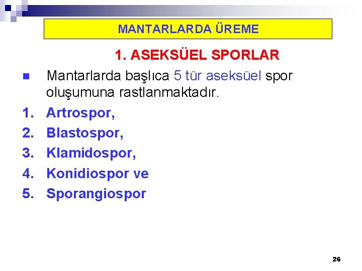 MANTARLARDA ÜREME n 1. 2. 3. 4. 5. 1. ASEKSÜEL SPORLAR Mantarlarda başlıca 5