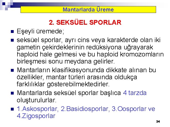 Mantarlarda Üreme n n n 2. SEKSÜEL SPORLAR Eşeyli üremede; seksüel sporlar, ayrı cins