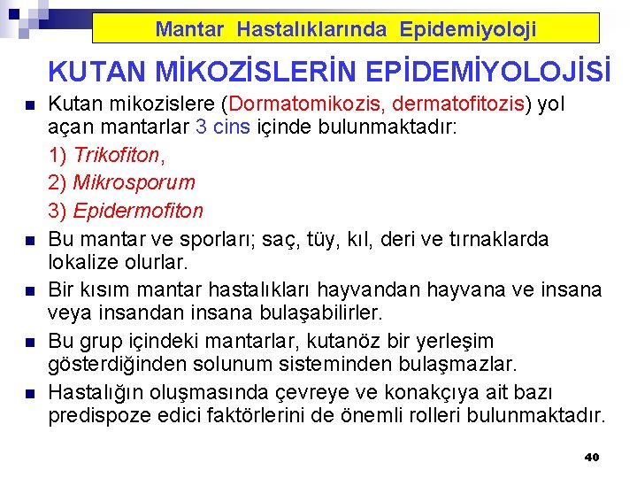 Mantar Hastalıklarında Epidemiyoloji KUTAN MİKOZİSLERİN EPİDEMİYOLOJİSİ n n n Kutan mikozislere (Dormatomikozis, dermatofitozis) yol