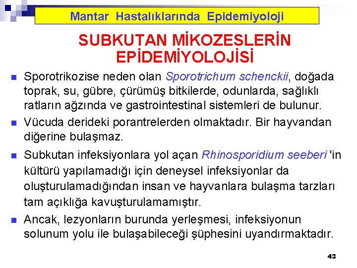 Mantar Hastalıklarında Epidemiyoloji SUBKUTAN MİKOZESLERİN EPİDEMİYOLOJİSİ n n Sporotrikozise neden olan Sporotrichum schenckii, doğada