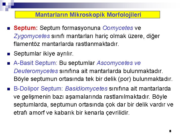 Mantarların Mikroskopik Morfolojileri n Septum: Septum formasyonuna Oomycetes ve Zygomycetes sınıfı mantarları hariç olmak