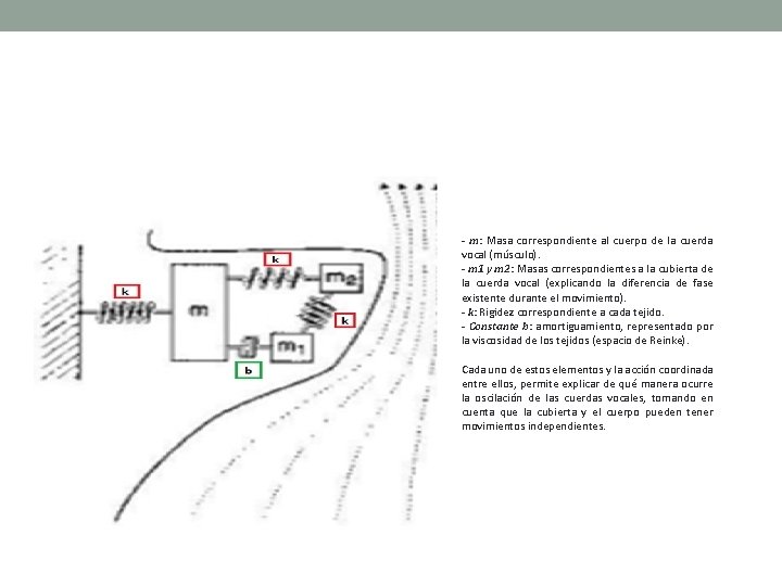 - m: Masa correspondiente al cuerpo de la cuerda vocal (músculo). - m 1
