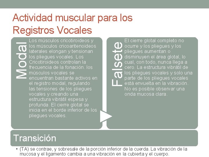 Actividad muscular para los Registros Vocales El cierre glotal completo no ocurre y los