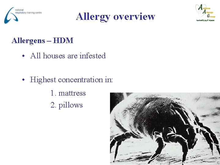 Allergy overview Allergens – HDM • All houses are infested • Highest concentration in: