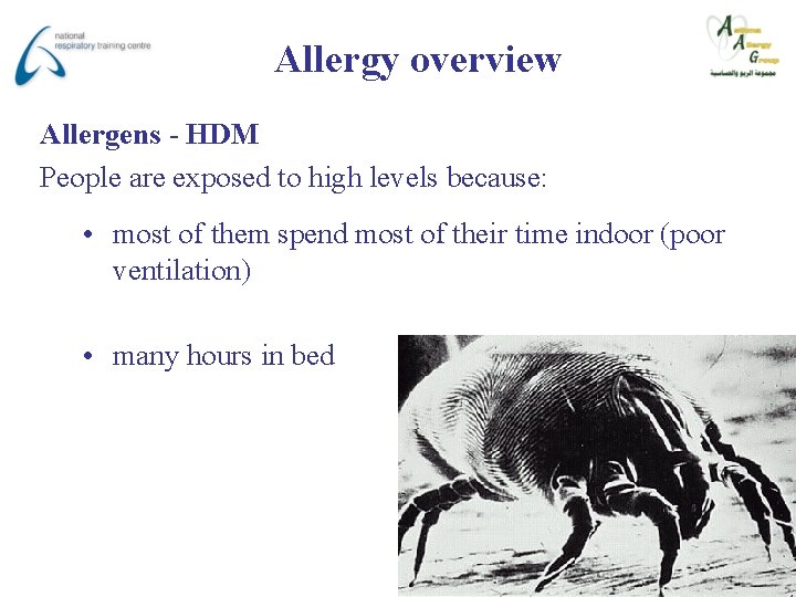 Allergy overview Allergens - HDM People are exposed to high levels because: • most