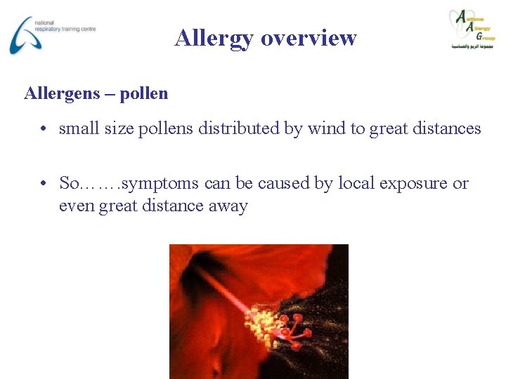 Allergy overview Allergens – pollen • small size pollens distributed by wind to great