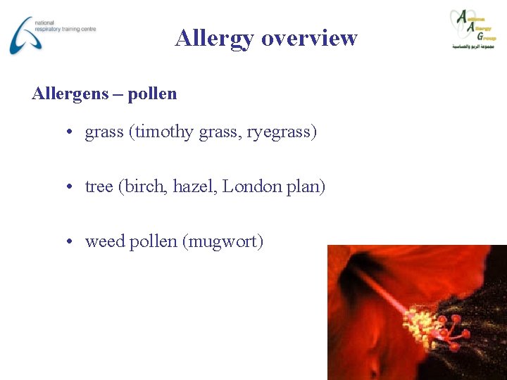 Allergy overview Allergens – pollen • grass (timothy grass, ryegrass) • tree (birch, hazel,